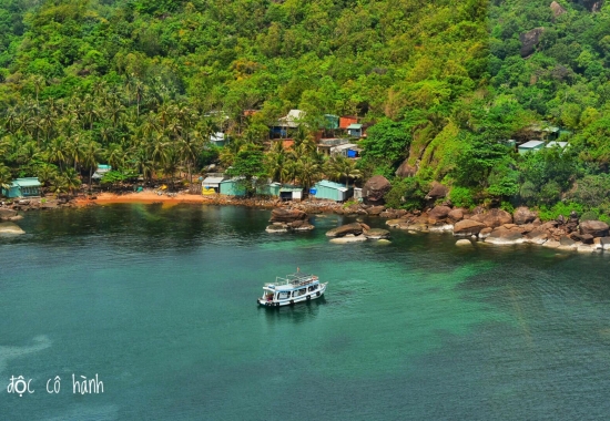 Lặn ngắm san hô đà nẵng - bán đảo sơn trà